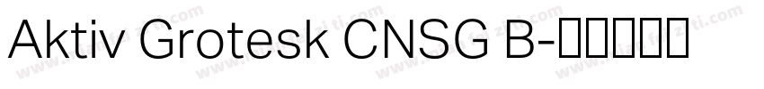 Aktiv Grotesk CNSG B字体转换